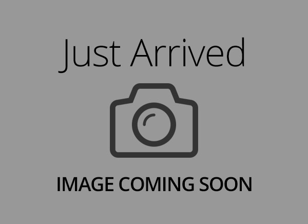 Golden Retriever – 5177