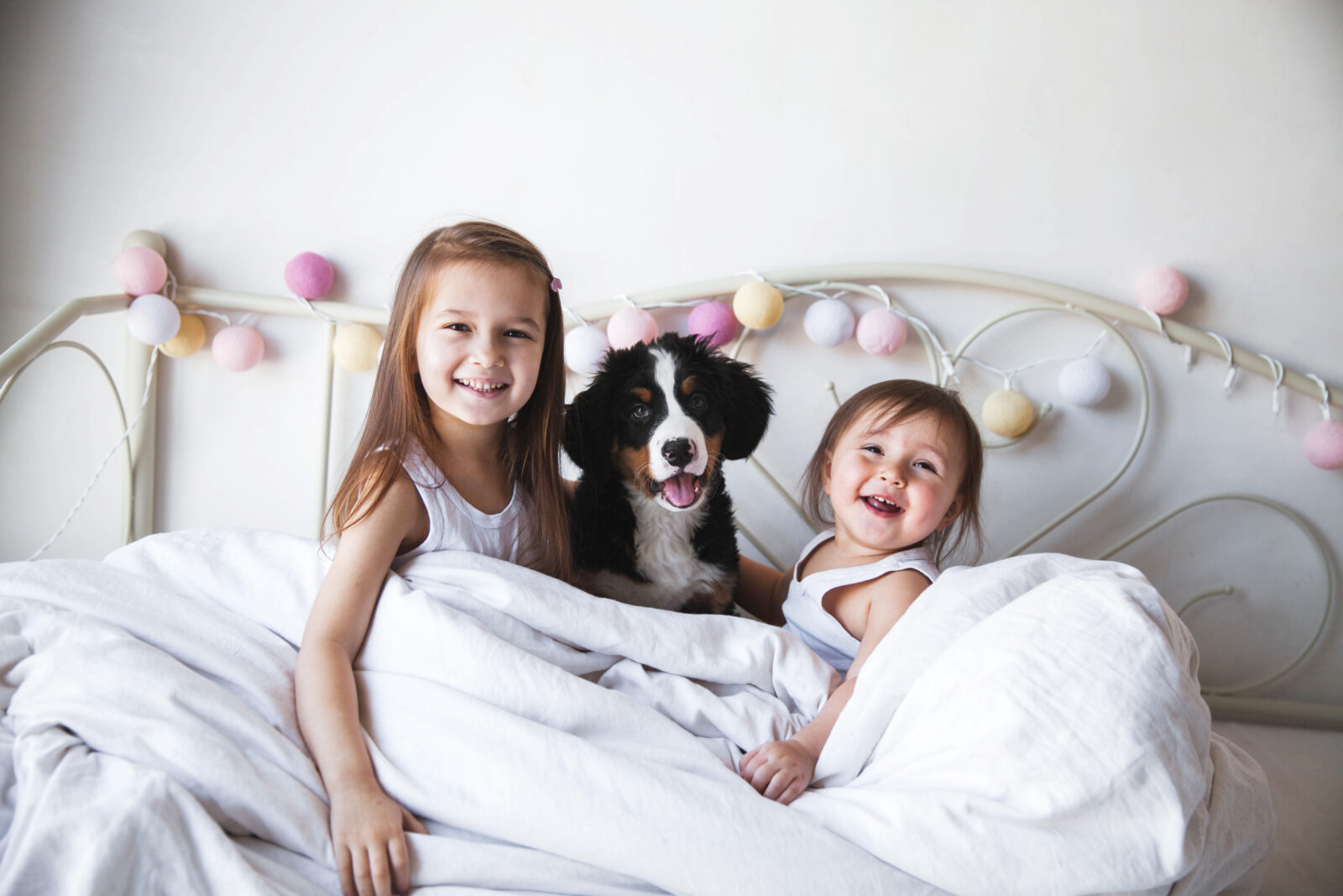 Helping Families Find Happy Puppies banner